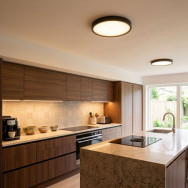 Ceiling Fittings