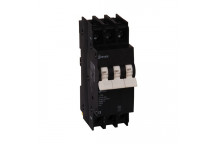 MCB 63A T/P 3KA SCHENKER   13MM GL1SMC3063