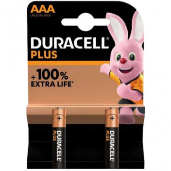 DURACELL MN2400 (AAA)/2PACK (LR03)  DUR5010814